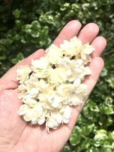 Bộ Tinh Dầu Dưỡng Ẩm Da Aroma Hoa Hồng Giúp Da chống lão hóa và săn chắc cơ da Se khít lỗ chân lông thon gọn cơ mặtDầu massage căng da thon gọn mặt dưỡng ẩm trẻ hóa da săn chắc cơ da - Dầu massage Aroma lành tính an toàn