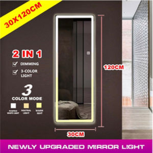 Zivon Smart Led Full Body Mirror With Tricolor Light Vanity Mirror Body Sensing Function Touch Control 120cm * 30cm/140cm * 50cm