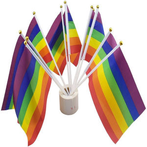 20Pcs Small Rainbow Flag Rainbow Flag Hand Waving Flags