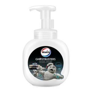 Walch Foaming Hand Wash Frozen Ice 290ml - Limited Edition
