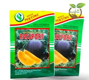 Benih semangka passport f1 20gram