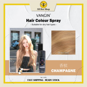 Vangin Temporary Color Hair Spray 120ml - West Malaysia Only
