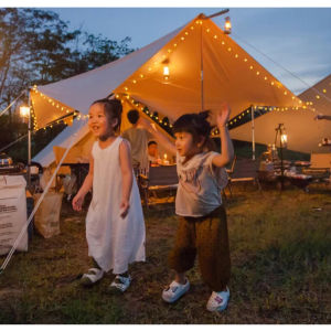 Solar Lights Outdoor Waterproof Garden Decorative Lights LED Bulbs Wedding String Lights 50 Lights 200 Lights Christmas Lights Crystal Ball String Lights