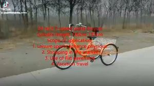 XE ĐẠP BA BÁNH CHO NGƯỜI GIÀ - PHIÊN BẢN 24 INCH GIỎ SAU