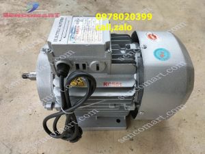 Mô tơ điện 1500w (2hp) tốc độ 2900v/p động cơ toàn phát chính hãng  hàng việt nam chất lượng cao