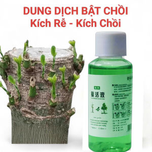 Phân Bón Tan Chậm Cho Hoa Lan – Dinh Dưỡng Cao Giúp Lan Khoẻ Hoa Bền Màu - Phân Bón Hữu Cơ Đậu Nành Lên Men 200gr
