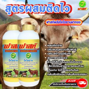 ช่วยระบบภูมิคุ้มกัน สัตว์สุขภาพแข็งแรง อาหารผสมสำหรับสัตว์ ฟาสท์ริช168 ฟาสท์พลัสไคโตซาน ฝาสีทอง2ขวด ใช้ได้กับสัตว์ทุกชนิด สินค้าพร้อมจัดส่งใน 1 วัน