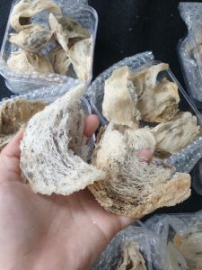 tổ yến thô bánh mì[hộp 100gr/50gr] + có quà chưng- Yến Sào Cô Ba - Nguyên chất 100%