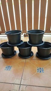 กระถาง 10 นิ้ว พร้อม จานรองกระถาง 10 นิ้ว แพ็คละ 5 ชุด ได้กระถาง 5 ใบ จานรอง 5 ใบ