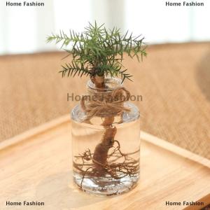 [COD] Home Fashion Transparent Flower Pot Vase Hydroponic Container Miniature Landscape Plastic Eco-bottle Home Decoration