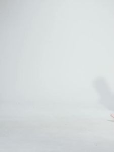 SUCCMING Nude Feel Shockproof Fitness Sports Vest for Women Breathable Beautiful Back Semi-Fixed Cup Yoga Vest Style Bra D25054