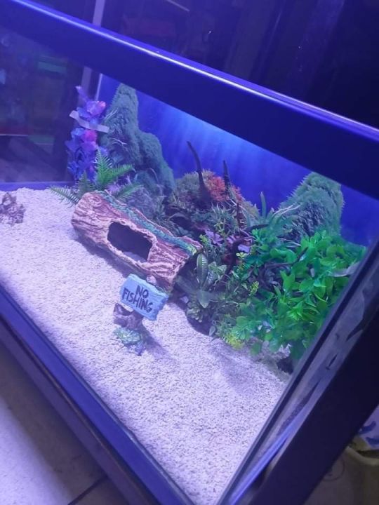 Lazada aquarium shop