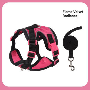 New Cat Leash Vest-StyleHarness Reflective Breathable Anti-Escape Small Dog Cat Walking Leash