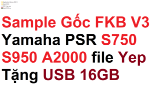 Bộ Sample Gốc FKB V3 Yamaha PSR S750 S950 A2000 file Yep - Tặng kèm USB 16GB
