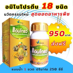 แอมโกรว์ ชนิดน้ำ (นวัตกรรมใหม่) สุดยอดอาหารพืช สารอาหารครบ 18 ชนิด สำหรับพิชทุกชนิด ( ชุด 1 ขวด ) 250 cc ผสมน้ำได้ 1000 ลิตร