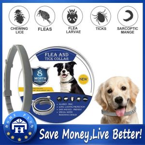 【Local delivery】 Adjustable Dog Cat Collar Flea Tick Prevention Pet Collar Pest Control Protect Rubber Flea Killer Collar Pet Cat Accessories Iron Box Pet Flea Collar