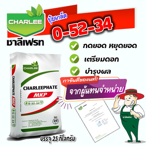 7 อันดับ ปุ๋ยเกล็ด ชาลีเฟรท สูตรเด็ดสำหรับพืชทุกชนิด อัปเดตปี 2025