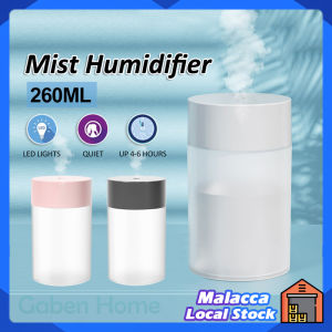 Air Diffuser Humidifier Cute Nano Atomized Home Refresher USB Charging Night Light Cooling Air Refresh Mist Silent Car Office Mist Diffuser