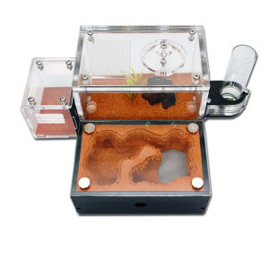 Ant farm nest with External Water Tower with Garbage Area Anthill Castle Insect Box Concrete Ant House 159cm *11.5*