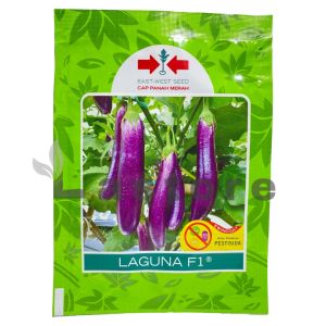 Benih Terong Ungu LAGUNA F1 Isi 1100 Butir Cap Panah Merah