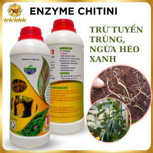 Chế Phẩm Diệt Trứng Tuyến Trùng Ngăn Ngừa Thối Rễ Vàng Lá - ENZYME CHITINI