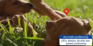 G12 GPS Smart Waterproof Locator: A Universal Waterproof GPS Device for Cats & Dogs