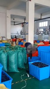 ท่ออากาศพลาสติกแบบนิวแมติก มุมฉาก ตรงผ่าน ปลั๊กเร็วสีขาว ตัวเชื่อมต่อเร็ว PU/PG/PV4/8-6/10/12