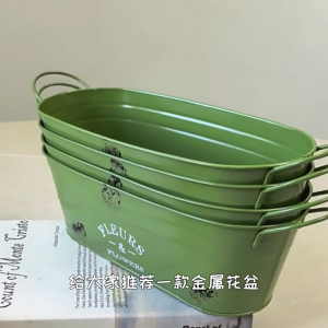 Gỉ bằng chứng hình dạng hình bầu dục chậu hoa bằng sắt Container với đôi xử lý cho sân hiên ban công vườn hiển thị