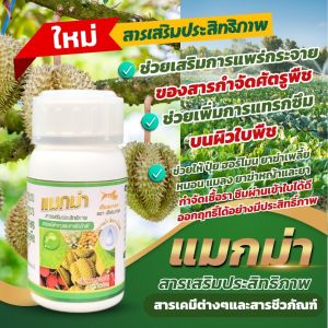 🔥🔥 ส่งฟรี 🔥🔥 แมกม่า ( 250 ซีซี 1 ขวด ) สารจับใบเสริมประสิทธิภาพ ต้านเพลี้ยลดการหลุดร่วง ใช้กับพืชได้ทุกชนิด แมกม่าลาวา