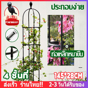 【ส่งจากไทย】4 ชั้นที่ 145cm*28cm ซุ้มกุหลาบ ซุ้มกุหลาบเลื้อย โครงกุหลาบเลื้อย ซุ้มไม้เลื้อย เหล็กแข็งแรง ท่อเหล็กเคลือบ PE กันสนิม กระถางต้นไม อุปกรณ์ตกแต่งสวน เหล็กแข็งแรง