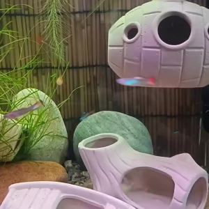xpkQ Ceramic Aquarium Shrimp Hideaway Multi-style Decorative Fish Hiding Shelter Multifunctional Creativity Breeding House Cave R3K9L
