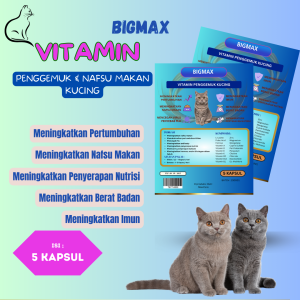 BIGMAX 5 KAPSUL VITAMIN UNTUK KUCING VITAMIN KUCING NAFSU MAKAN PENGGEMUK BULU LEBAT KUCING ROYALCARE OLIVECARE MAXCAT CLEVER SOLUTION