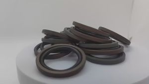 GSF แหวน Gleicher สำหรับรู   แหวนกรองไขมันสำหรับอุปกรณ์กรองปิโตรเลียมเคมี   แหวนซีลลูกสูบยาง