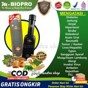Obat Asam Lambung Naik Untuk Anak Dewasa Maag Kronis Akut Mual Herbal Paling Ampuh m biopro Mbiopro