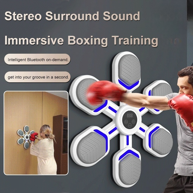 Smart Boxing Trainer Reaction Targets Musical Boxing Targets | Lazada PH