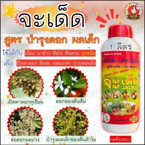 เปิดตาดอก ยืดช่อกับสูตร จะเด็ด อาหารพืชทางใบเพื่อบำรุงการออกดอก ผสมเกสร แทงช่อดอก ดอกไม่หลุดร่วง 1 ขวด 1000 ซีซี