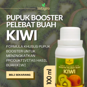Pupuk Organik Cair Booster Pelebat Buah Kiwi / Pupuk Penyubur Tanaman Buah Kiwi Berbuah Lebat