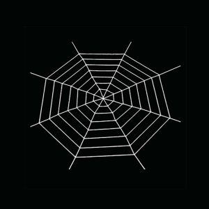 MMLUCK Stretchy Halloween Spider Web Giant Horror Halloween Plush Cobweb Toys 1.5/3.6m Home