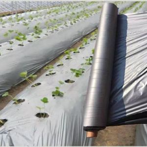 Plastic Mulch 2.65ft x 600m 20 Microns HEAVY DUTY Crop cultivation Crop protection Agricultural appliances