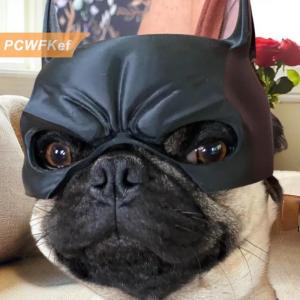 【PCWFKef】 Con chó BAT mát người đàn ông mặt nạ con chó Avenger mặt nạ dễ thương BAT mặt nạ siêu anh hùng đồ chơi Halloween trang phục cho chó Pet Nguồn cung cấp
