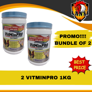 Promo Bundle of 2 - Vitminpro Powder 1kg