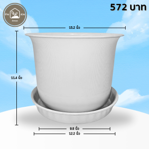 กระถาง กระถางต้นไม้ มินิมอล ถ้วยจีน+จาน ขนาด 15 นิ้ว สีขาว 5 ใบ ชิ้น อัน
