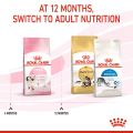 Royal Canin Kitten (10kg) Dry Cat Food - Feline Health Nutrition. 