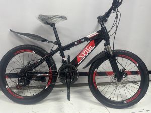Xe đạp thể thao 2 phanh đĩa có size 22inh cho bé từ 8-15 tuổi