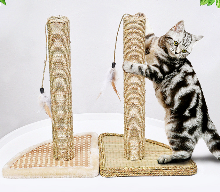 Cat Scratchers Cat Tree Lazada Arbre A Chat Gitelsnour Cat Tree