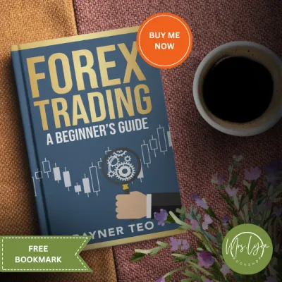 Forex Trading: A Beginners Guide: Trading Strategies Tools And Techniques Paperback