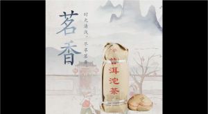 Xiaguan Tuocha 2020年 / 2017年 便装普洱沱茶（熟普洱）100g*5pc| Bian Zhuang Pu Erh Tuo (Ripe Puer Tea) | Daily Tea| Yunnan Pu Er Tea| Tuo Cha| Black Tea| Healthy