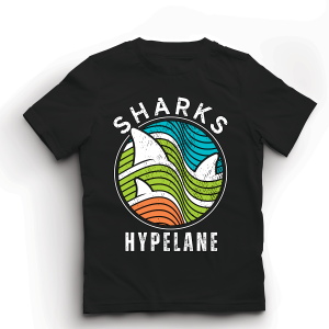 Baju Kaos Distro Anak Laki Laki Karakter Cowok Keren Import 1 - 10 Tahun - Hypelane Kids - DTF