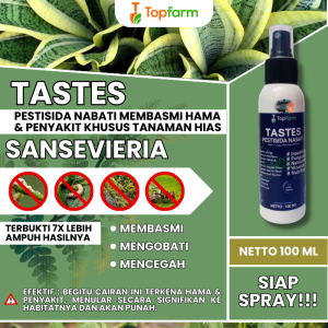 Obat Pembasmi Hama Tanaman Hias Sansevieria / Obat Semprot Hama Daun Hias / Obat Hama Kutu Tanaman Hias / Obat Penyubur Pembasmi Hama Daun Hias