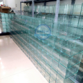 Bể cá mini CHỌN MẪU hồ cá mini để bàn. 